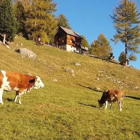 Platzerhütte Chalet