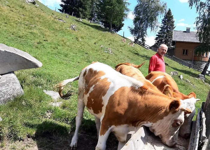 Шале Platzerhuette