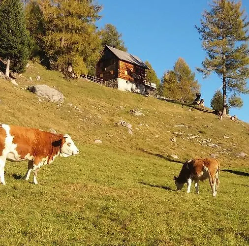 Platzerhuette Шале